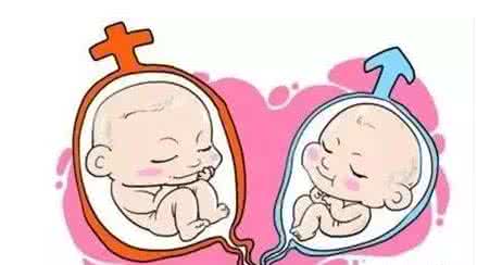 卵子凍結保存